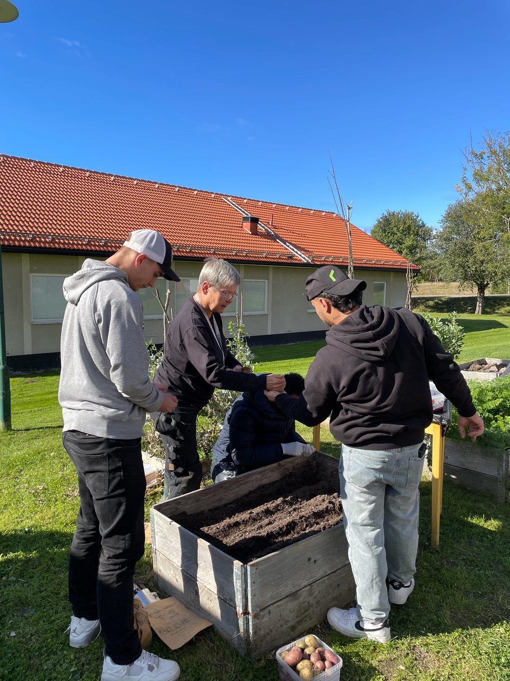 Deltagare i projektet FolkisUng arbetar tillsammans med plantering i en odlingslåda vid Västerbergs folkhögskola.