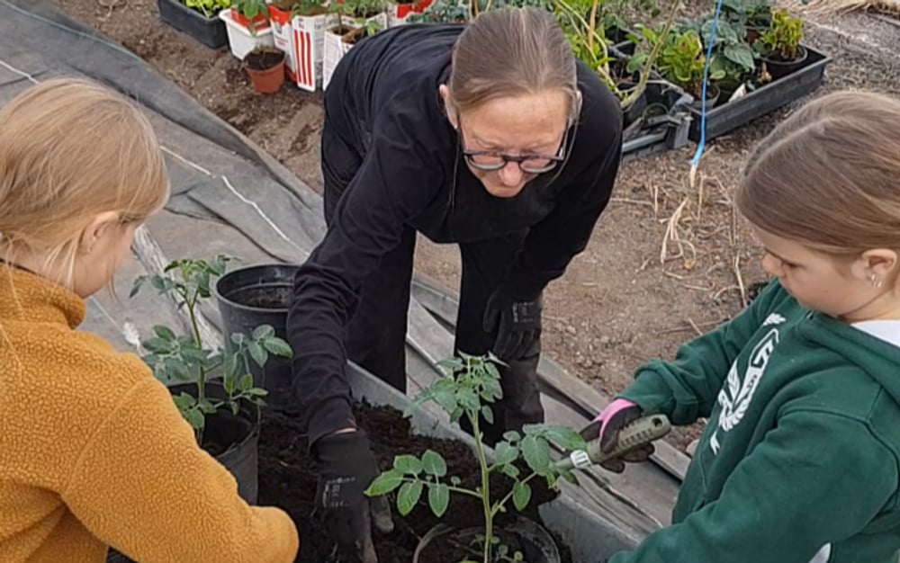 Barn som odlar tillsammans i grupp. Vi ser plantering och skörd.