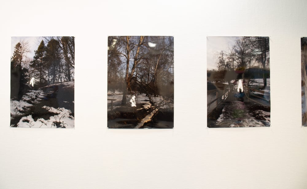 Konstverk Francis Rahmani Förankrad respons detalj