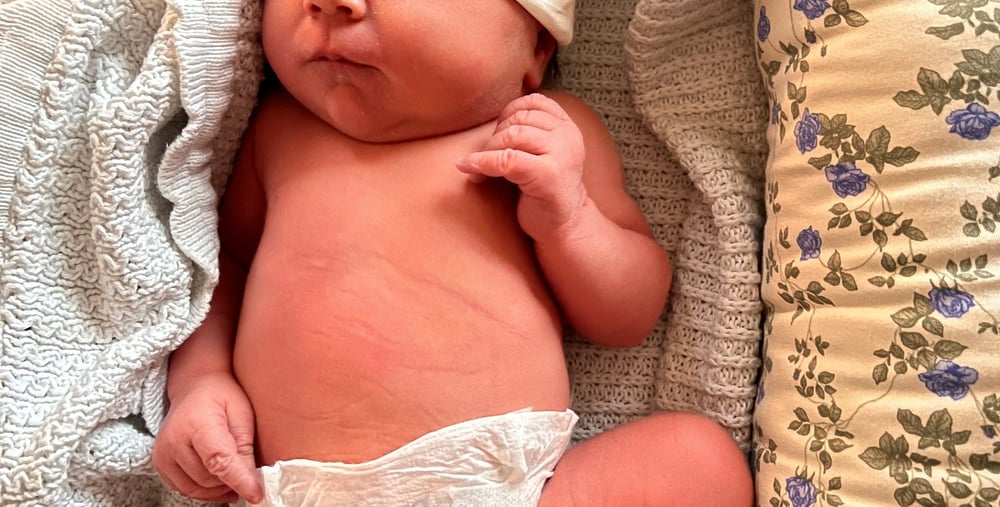 länets förstödda 2026