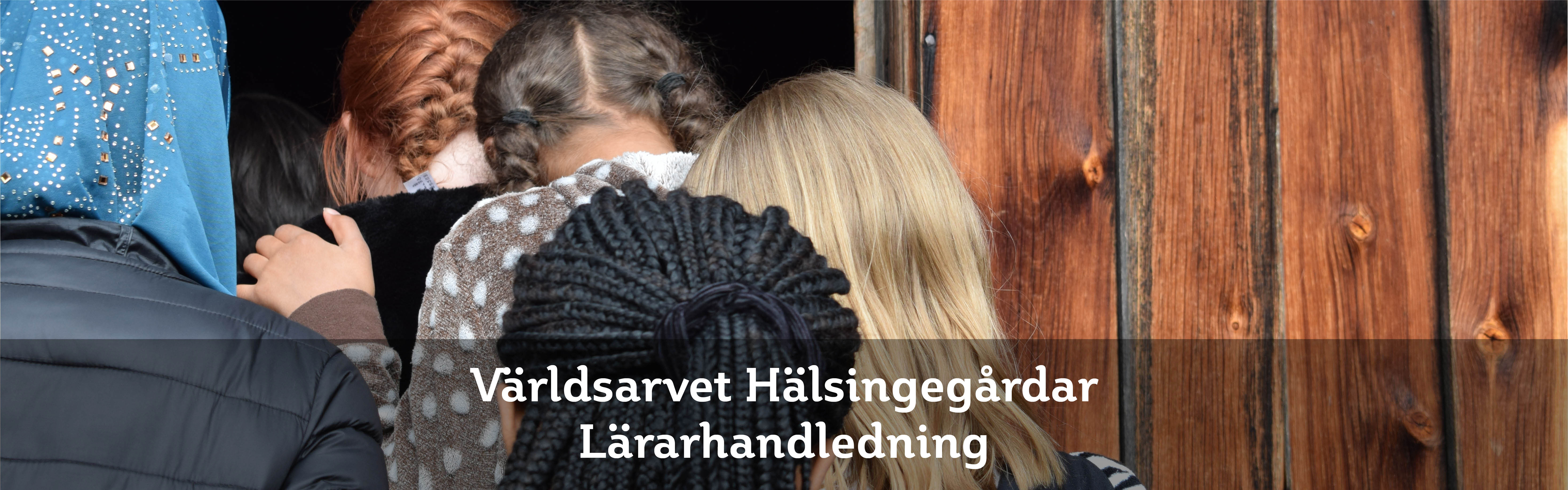 Lärarhandledning