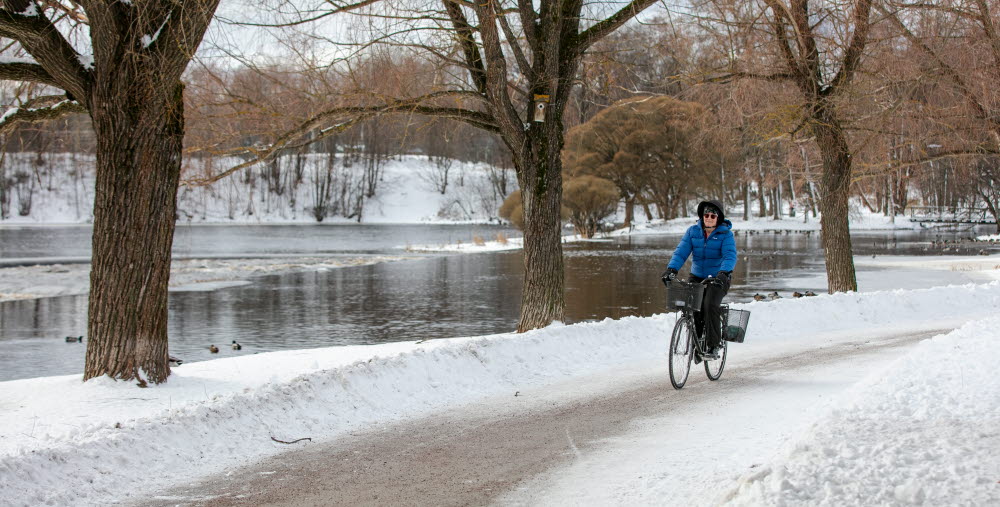 Person cyklar i park