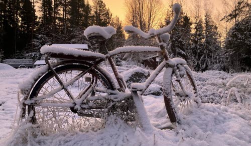 Frostig cykel i vinterlandskap.