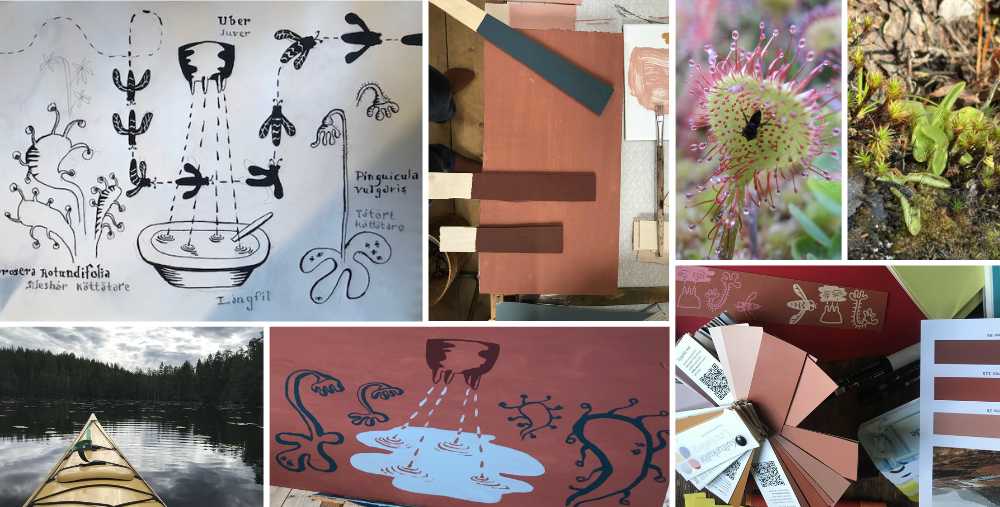 Kollage med illustrationer, växtfotografier, färgprover och en kajak i en skogssjö, med fokus på köttätande växter och konstnärlig tolkning.
