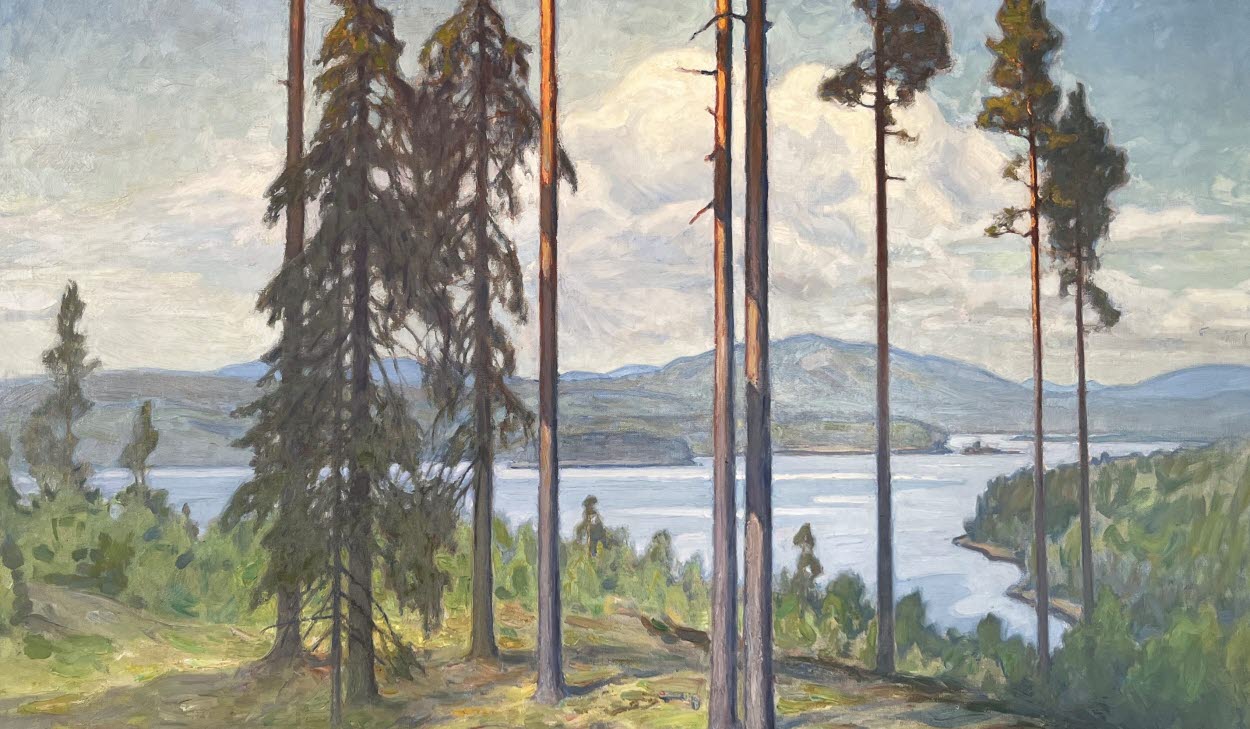 Ecke Hedberg , Utsikt över sjön Hyen, Hofors , 19 28