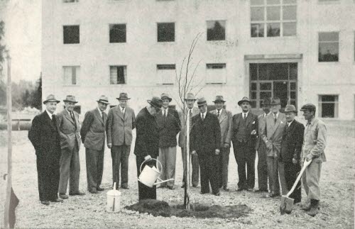 Foto på ordförande Lindley som planterar vårdträd vid nyuppförda Skogs- och lantmannaskolan - Nytorp - 31 maj 1946. 