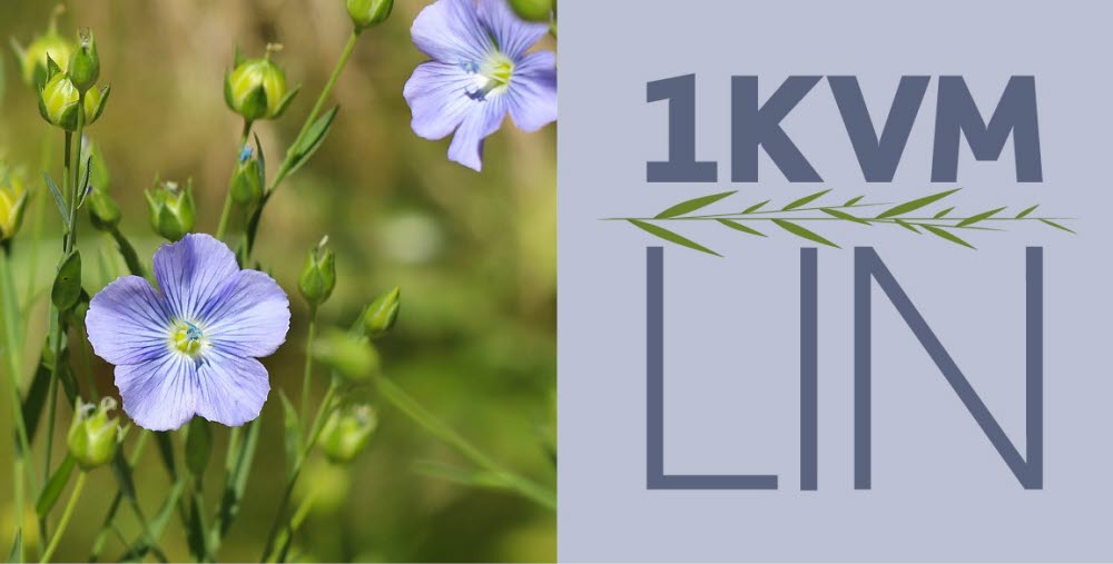 1 kvm lin