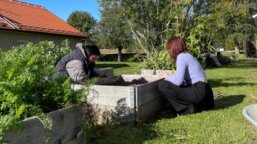 Deltagare i projektet FolkisUng arbetar tillsammans med plantering i en odlingslåda vid Västerbergs folkhögskola.