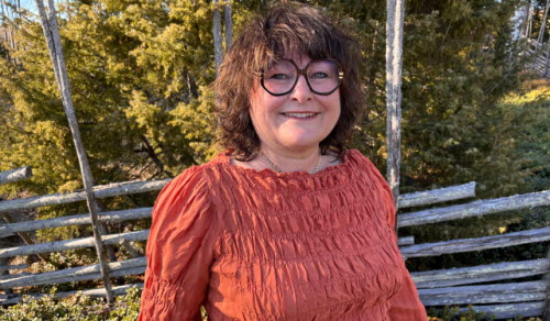 Elisabeth Hedlund, enhetschef på IT-support 