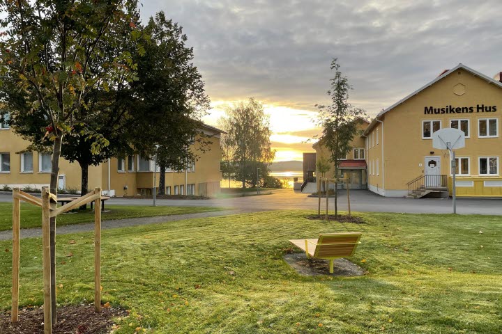 Naturbild vid Bollnäs folkhögskola