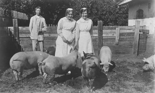 Fröken Svensson och Maria förmodligen tillsammans med en patient vid Hudiksvalls lasaretts grishus år 1916